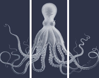 Coastal Wall Art, Large Navy Octopus Art, Ready To Hang 3 Piece Gallery Wrapped Beach Home Decor, Historic Sea Life Illustration