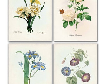 Botanical Print Set, Cottagecore Wall Art, Redoute Flower Prints, Roses, Morning Glory, Iris, Daffodils, Mother's Day Gift