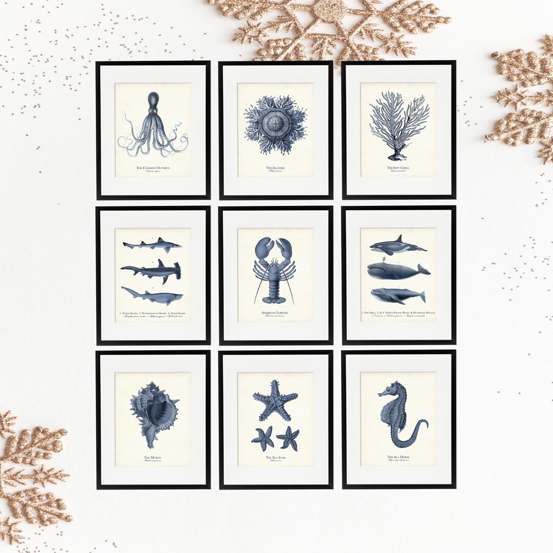 Navy Blue Sea Life Art Print Set: Coastal Home Decor, Nautical Gift - Etsy