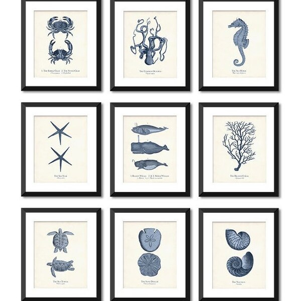 Ocean Life Illustrations Coastal Art Print Set of 9, Coastal Chic, Navy Blue Sea Life Prints, Summer Art, Mother's Day Gift