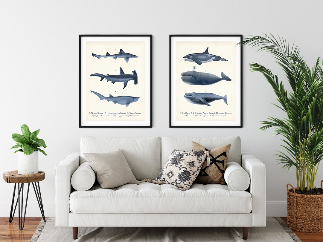 Whale and Shark Nautical Art Print Set, Navy Blue Coastal Decor - Etsy