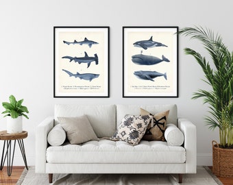 Ensemble de 2 impressions d'art nautique baleines et requins, art mural côtier bleu marine, décoration d'intérieur de plage, affiche baleine, affiche requin, impressions vie marine