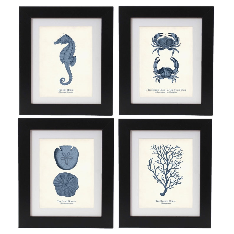 Coastal Wall Art Print Set of 4 in Navy Blue Nautical Wall Etsy