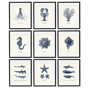 Vintage Ocean Life Art Print Set of 9, Coastal Wall Art Set of 9, Sea Life Illustrations, Gift for Mom