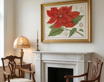 Poinsettia Vintage Botanical Print, Red Flower Wall Art, Classic Winter Botanical Illustration, Christmas Wall Art