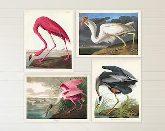 Coastal Birds of America Wall Art, Audubon Bird Prints Set of 4, Flamingo, Roseate Spoonbill, Great Blue Heron, White Heron,