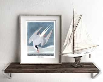 May include: Framed print of a bird in flight, featuring a white and gray bird with red accents against a blue sky and ocean. A miniature sailboat sits on a wooden shelf below the print.