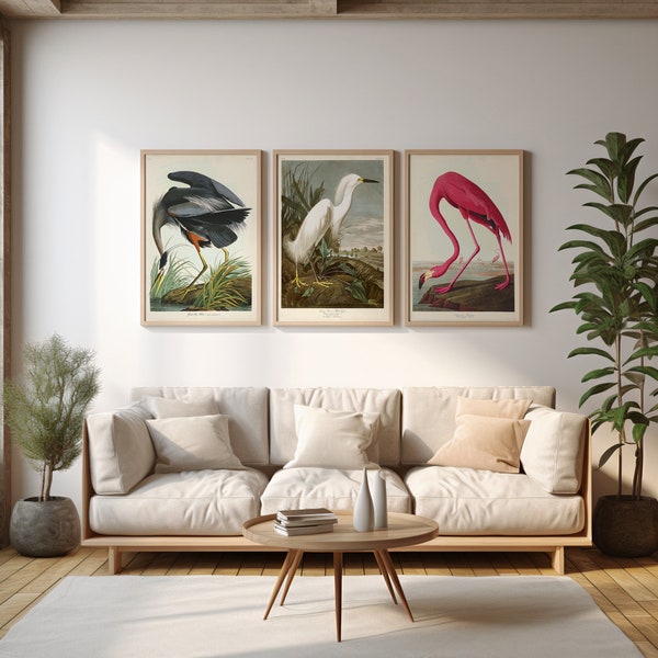 Flamingo, Great Blue Heron & Snowy White Egret Art Prints, Audubon Birds of America, Beach Art, Coastal Wall Decor, Gift for Birder