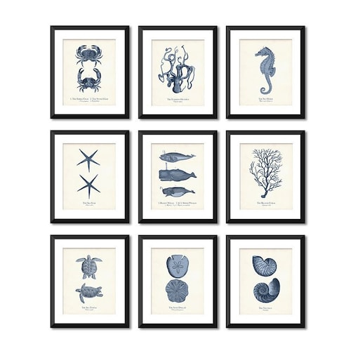 Coastal Wall Art Print Set of 4 in Navy Blue Nautical Wall Etsy