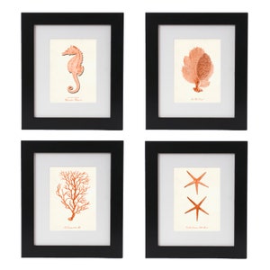 Nautical Prints Set in Coral Orange, Coastal Art, Posters, Seahorse, Corals And Starfish, Sea Life Wall Art