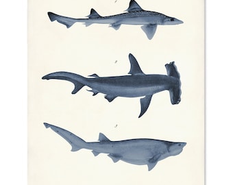 Vintage Sharks Print, Navy Nautical Beach House Art