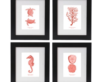 Coastal Wall Art Print Set of 4 in Living Coral, Coastal Wall Art, Coral, Seahorse & Starfish, Wall Decor, Beach Art, Summer Art