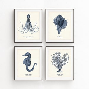 Sea Life Illustrations in Navy Blue, Nautical Art, Octopus, Seahorse, Murex, Coral, Coastal Farmhouse Wall Art, Marine Life Posters