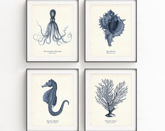 Sea Life Illustrations in Navy Blue, Nautical Art, Octopus, Seahorse, Murex, Coral, Coastal Farmhouse Wall Art, Marine Life Posters