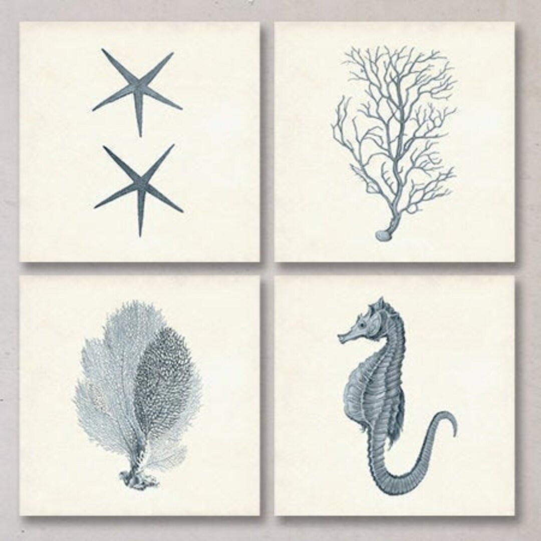 Coastal Print Set in Rustic Blue, Nautical Wall Art, Sea Life Art, Beach Home Decor, Coral