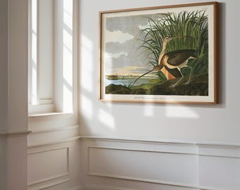 Audubon Long-billed Curlew Print, Coastal Bird Art, Beach House Decor