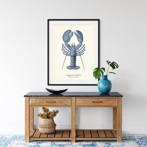 May include: A framed illustration of an American lobster in blue tones against a white background. The text "AMERICAN LOBSTER" is printed below the image.