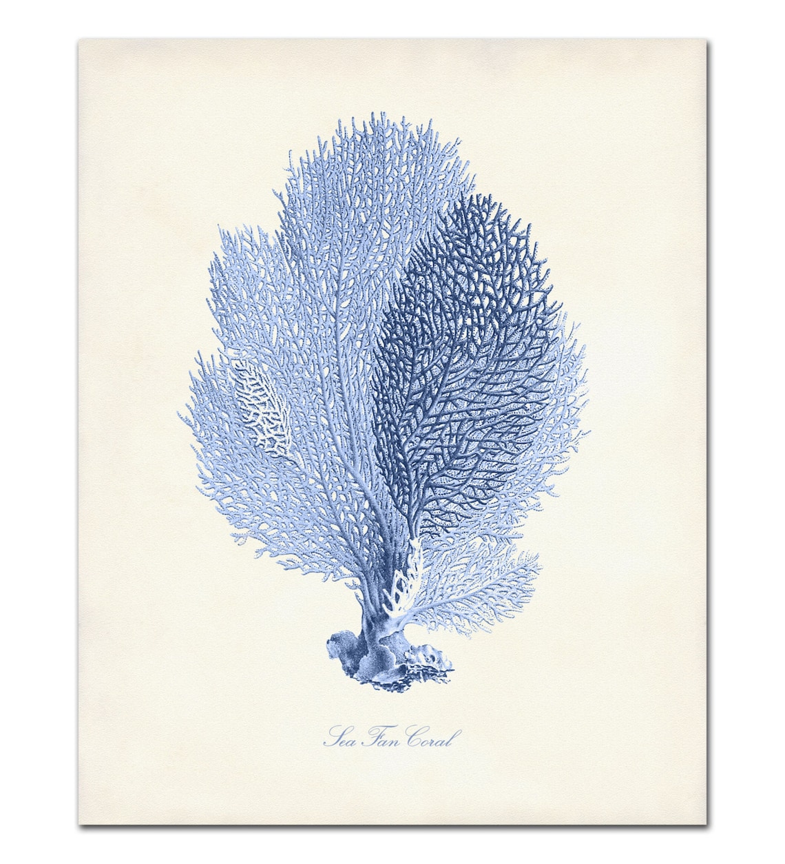 Coastal Art Print Set of 4 Nautical Posters Beach Art Beach Etsy