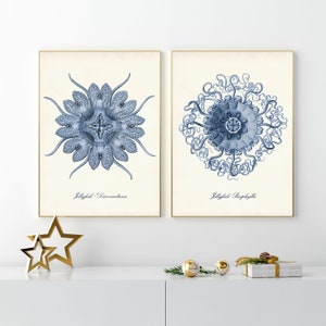 Jellyfish Print Set of 2, Navy Blue Coastal Art, Ernst Haeckel Sea Life Posters, Beach Art Home Decor, Shore House Art