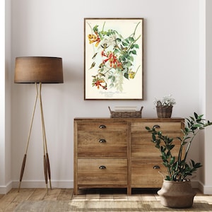 Audubon Ruby-throated Hummingbird Print: Birds of America Botanical Art