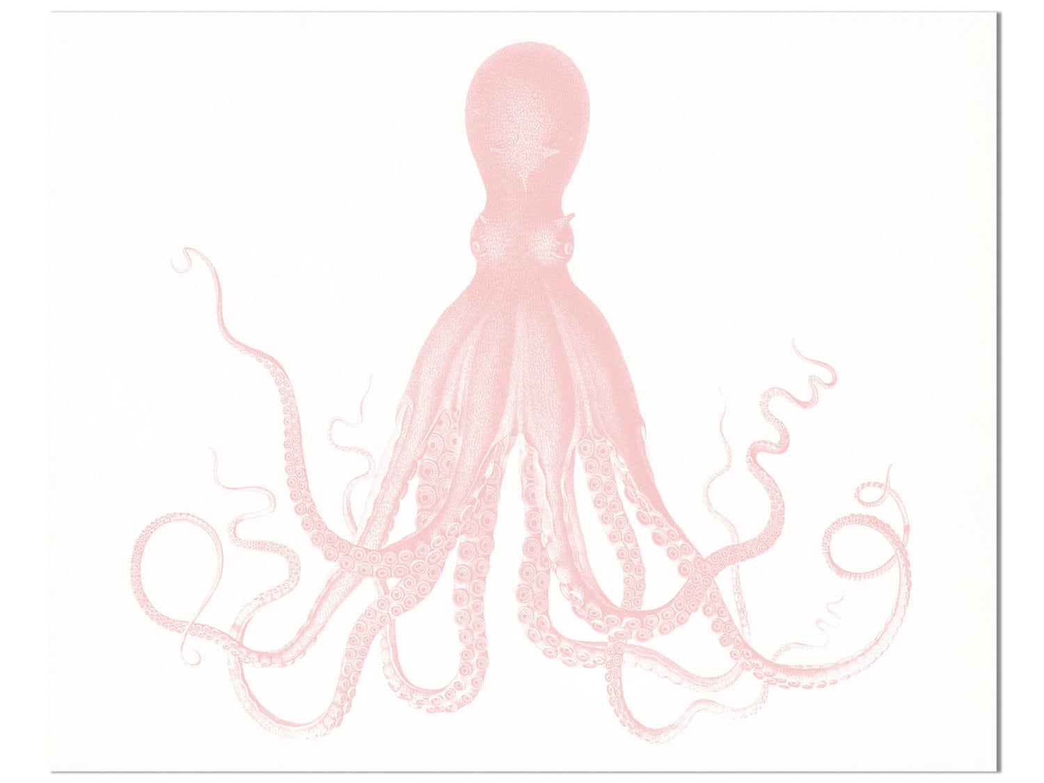 pink and grey reversible octopus