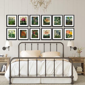 Juego de 12 láminas botánicas vintage, regalo para jardineros, arte mural floral de Linneo