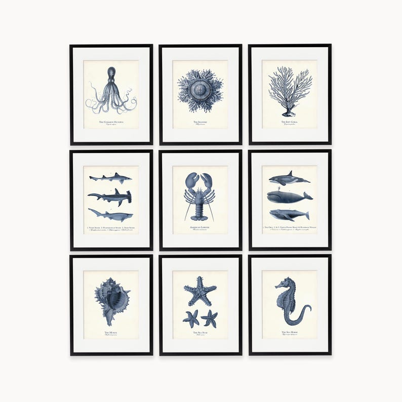 Navy Blue Sea Life Art Print Set: Coastal Home Decor, Nautical Gift image 12