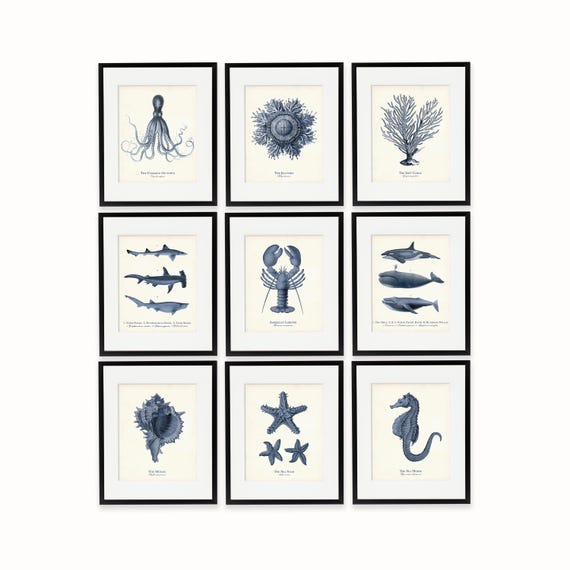 Navy Blue Sea Life Art Print Set: Coastal Home Decor, Nautical Gift
