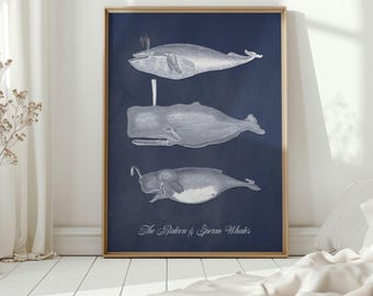 Whale Art Print, Vintage Nautical Decor, Coastal Wall Art