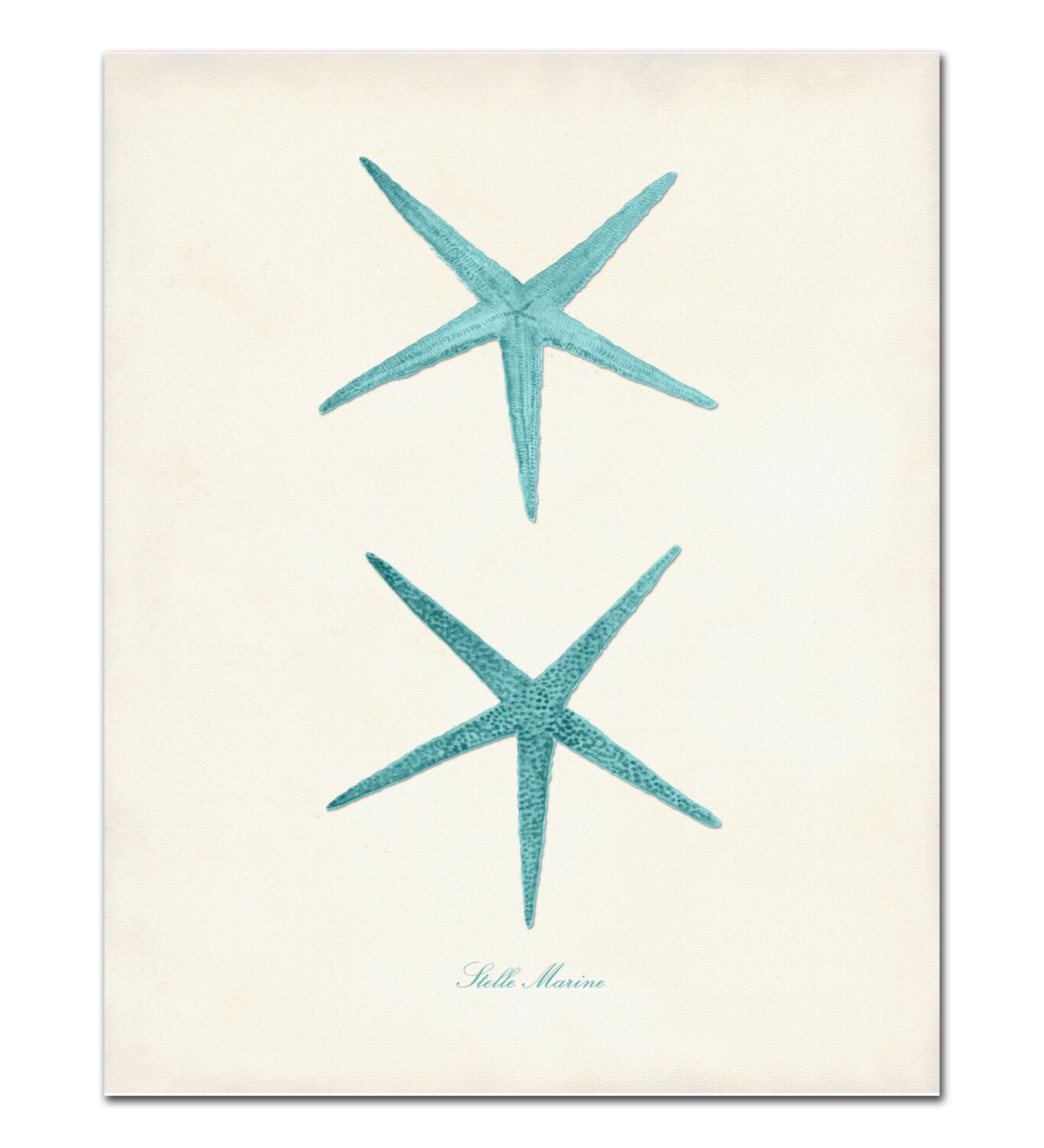 Nautical Print Set Nautical Poster Set in Aqua Beach Art Etsy