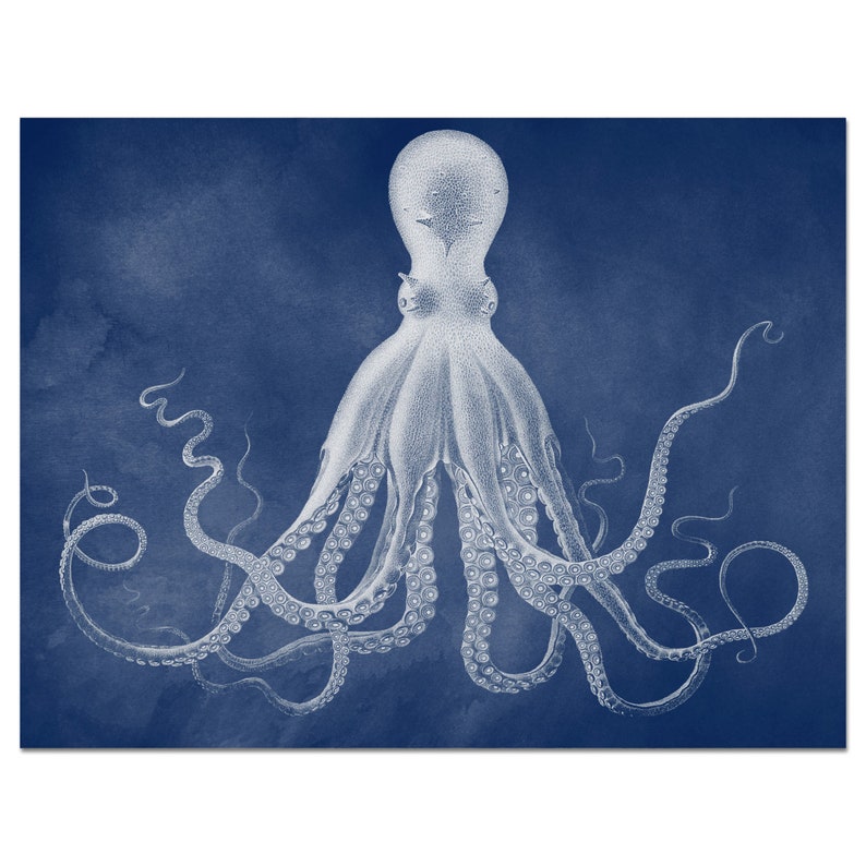 Octopus Print Nautical Wall Decor Octopus Art in New Navy | Etsy