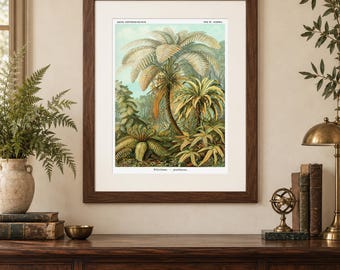 Ernst Haeckel Tree Fern Print, Vintage Tropical Botanical Wall Art, Filicinae Plate 92