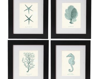 Nautical Print Set of 4 in Seafoam, Nautical Wall Art, Posters, Beach Art, Coastal Art, Corals, Seahorse Print, Starfish, Coastal Decor