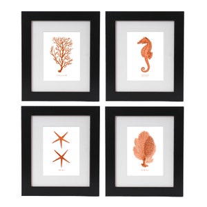 Burnt Orange Nautical Art Print Set, Coastal Decor