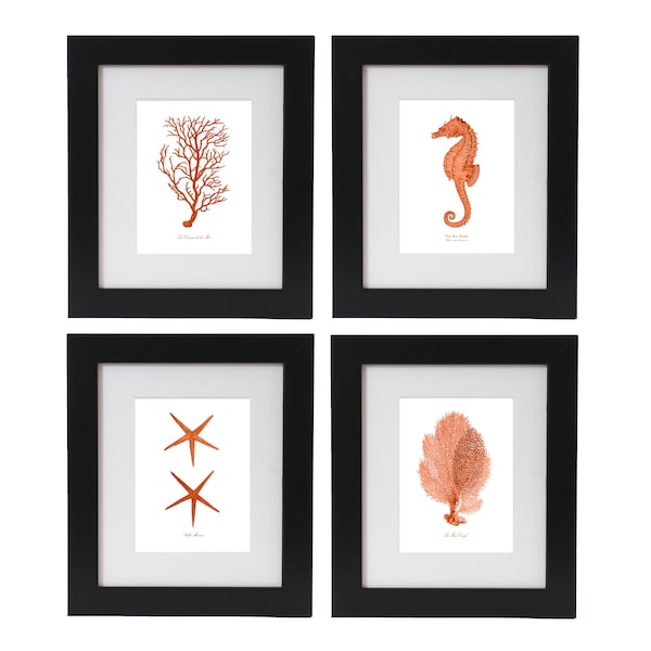 Coral Wall Decor Etsy