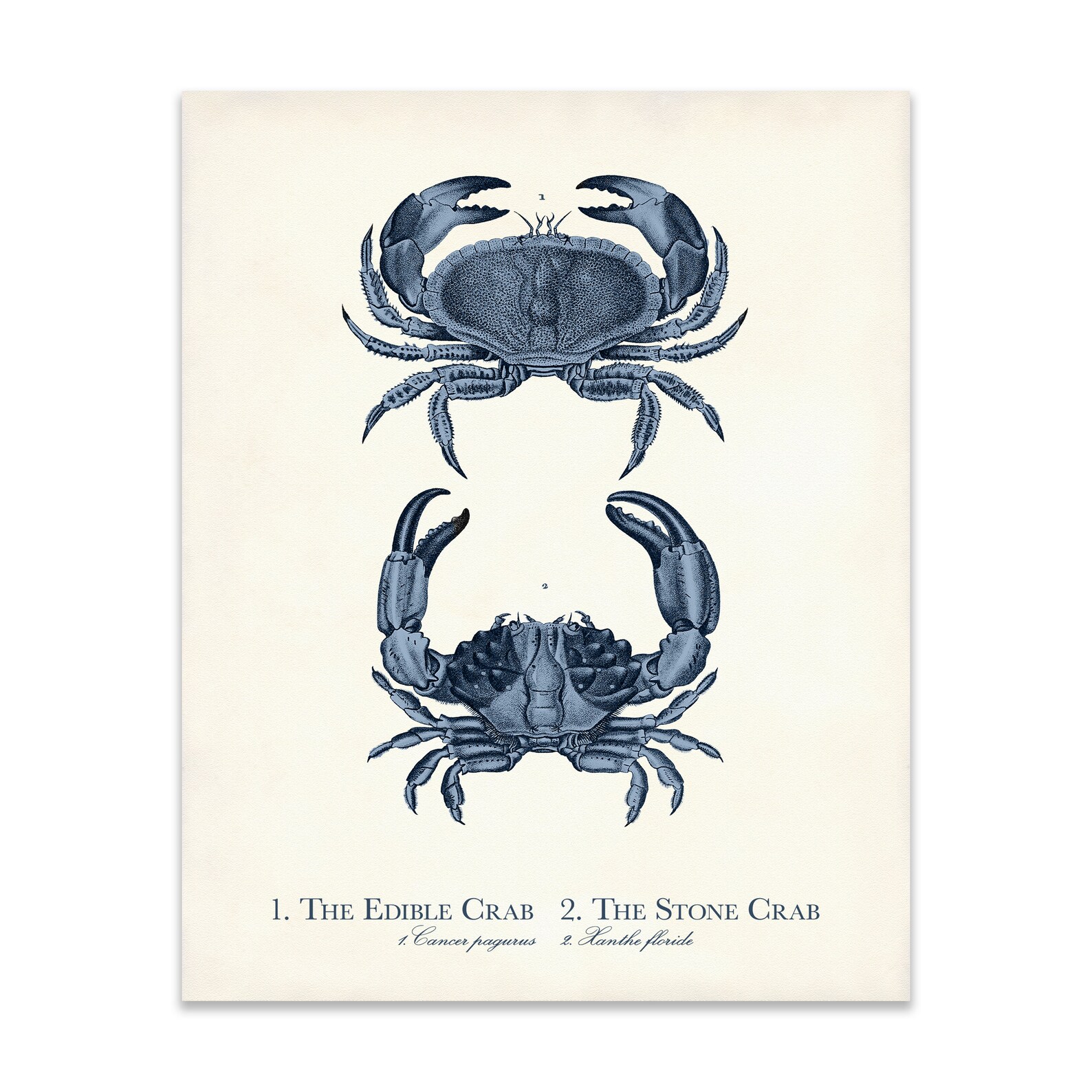 Coastal Wall Art Print Set of 4 in Navy Blue Nautical Wall Etsy