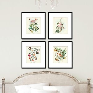 May include: Four framed botanical prints featuring colorful illustrations of hummingbirds and flowers. Each print is in a black frame with a white mat. The artwork is displayed on a white wall above a bed with a decorative headboard.