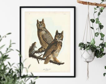 Horned Owl Art Print, John James Audubon Birds of America, Antique Ornithology Illustration