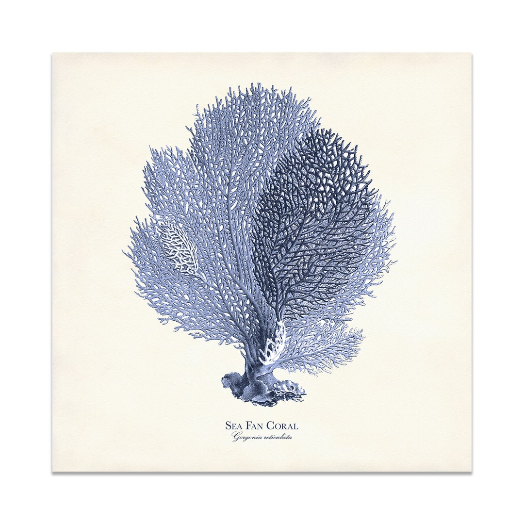 Sea Fan Coral Print in Indigo Blue, Coastal Decor, Sea Life Wall Art ...