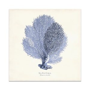 Sea Fan Coral Print in Indigo Blue, Coastal Decor, Sea Life Wall Art, Square or Rectangle Wall Art