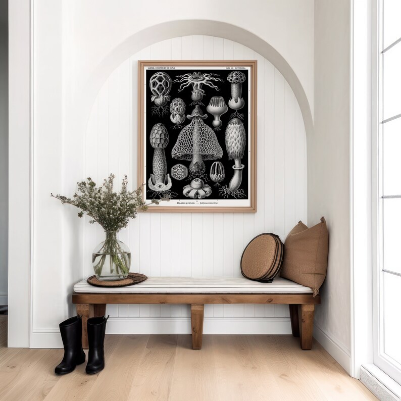 May include: A framed black and white botanical print featuring detailed illustrations of various mushrooms and fungi species. The artwork is displayed in a light wood frame and includes scientific text at the top and bottom edges.