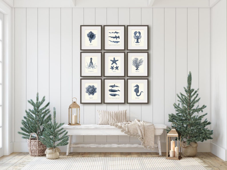 May include: Nine framed prints of blue and white illustrations of sea life, including a lobster, starfish, octopus, seahorse, and various fish. The prints are arranged in a grid on a white wall above a white bench with a throw blanket.