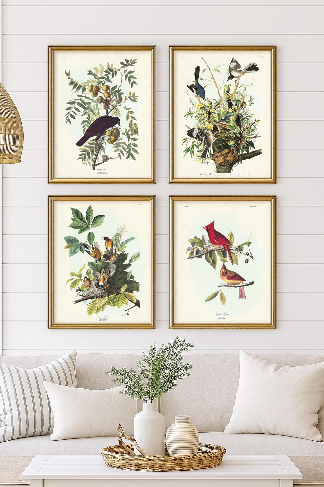 Audubon Backyard Birds Art Print Set of 4: Crow, Robin, Cardinal and ...