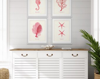 Sea Life Art Print Set of 4 in Coral Pink that Includes A Starfish, A Seahorse and 2 Coral Prints, Beach House Decor, Gift for Mom