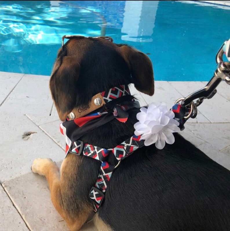 Holiday Red Black Polka Dots Dog Collar Accessory Dog Flower Puppy Bling