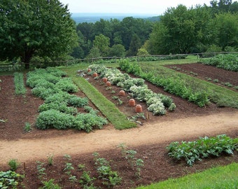 Heirloom Vegetable Seed Collection: 21 Non-GMO Varieties