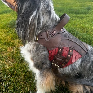 Arnés de cuero para perros Heimdall