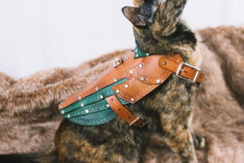 Maeve Leather Cat Armor, Harness 