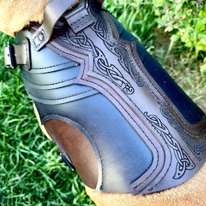 Leif Leather Dog Harness Armor