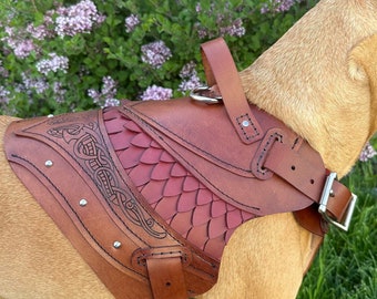 May include: A brown leather dog harness with a decorative design. The harness features a red scale-like pattern and intricate carved details. It has adjustable straps and metal hardware for secure fastening. The harness is designed to fit comfortably on a dog.